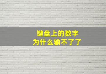 键盘上的数字为什么输不了了