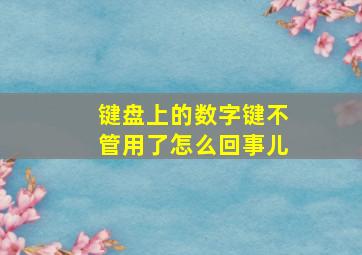 键盘上的数字键不管用了怎么回事儿