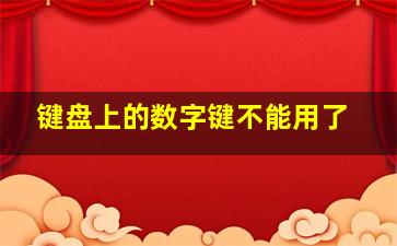 键盘上的数字键不能用了