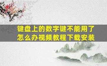 键盘上的数字键不能用了怎么办视频教程下载安装