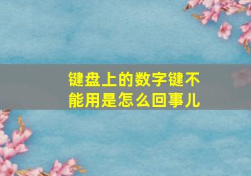 键盘上的数字键不能用是怎么回事儿