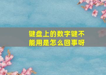 键盘上的数字键不能用是怎么回事呀