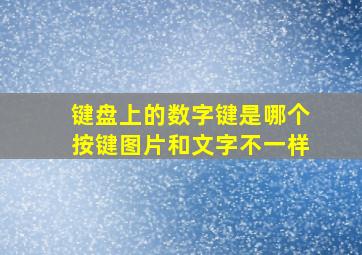 键盘上的数字键是哪个按键图片和文字不一样