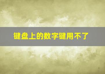 键盘上的数字键用不了