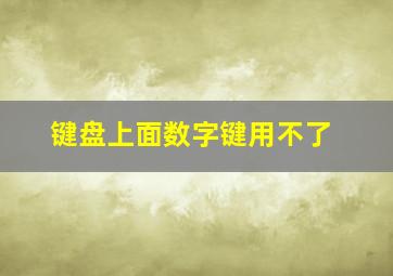 键盘上面数字键用不了