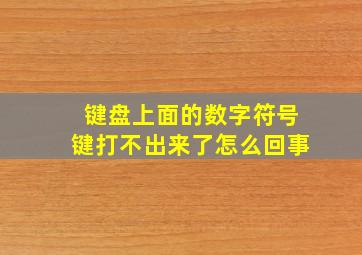 键盘上面的数字符号键打不出来了怎么回事