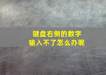 键盘右侧的数字输入不了怎么办呢