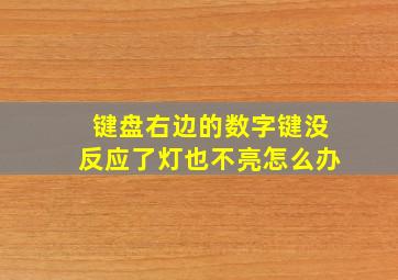 键盘右边的数字键没反应了灯也不亮怎么办