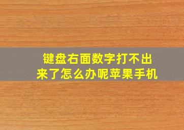 键盘右面数字打不出来了怎么办呢苹果手机