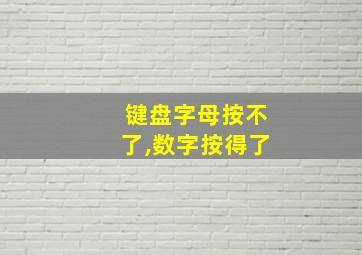 键盘字母按不了,数字按得了