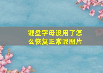 键盘字母没用了怎么恢复正常呢图片