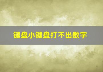 键盘小键盘打不出数字