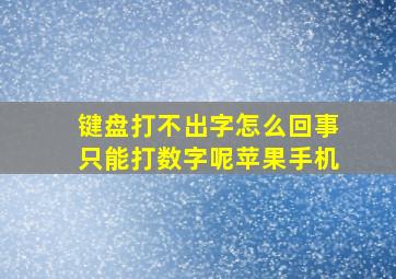 键盘打不出字怎么回事只能打数字呢苹果手机