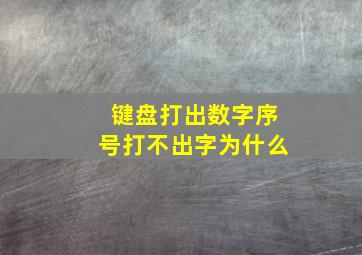 键盘打出数字序号打不出字为什么