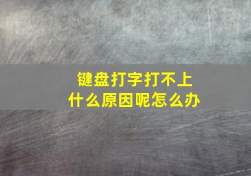 键盘打字打不上什么原因呢怎么办