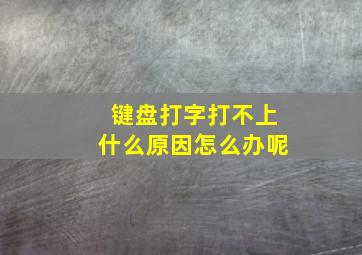 键盘打字打不上什么原因怎么办呢