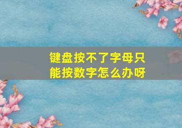 键盘按不了字母只能按数字怎么办呀