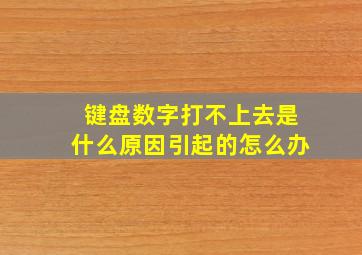 键盘数字打不上去是什么原因引起的怎么办