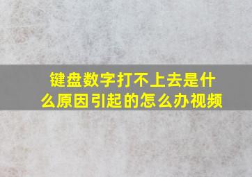 键盘数字打不上去是什么原因引起的怎么办视频