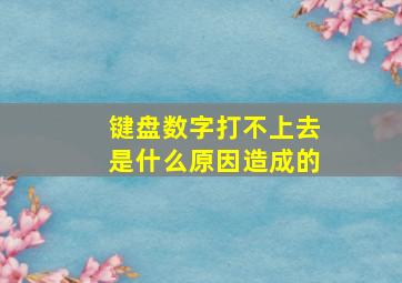 键盘数字打不上去是什么原因造成的