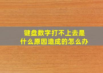 键盘数字打不上去是什么原因造成的怎么办