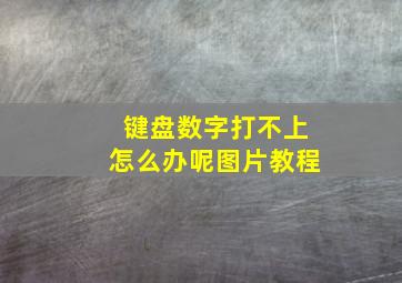 键盘数字打不上怎么办呢图片教程