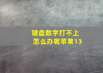 键盘数字打不上怎么办呢苹果13