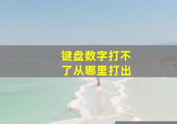 键盘数字打不了从哪里打出