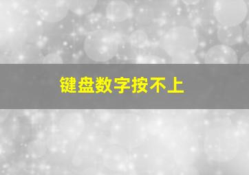 键盘数字按不上