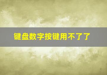 键盘数字按键用不了了