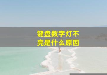 键盘数字灯不亮是什么原因