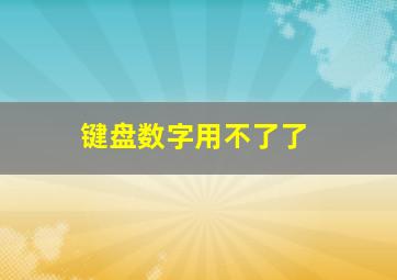 键盘数字用不了了