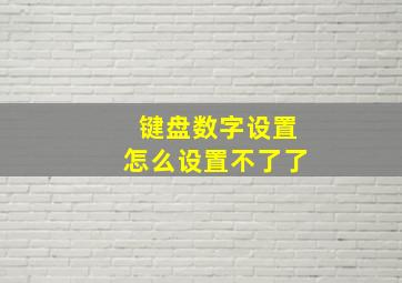 键盘数字设置怎么设置不了了