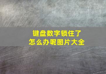 键盘数字锁住了怎么办呢图片大全