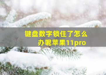 键盘数字锁住了怎么办呢苹果11pro