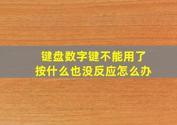 键盘数字键不能用了按什么也没反应怎么办