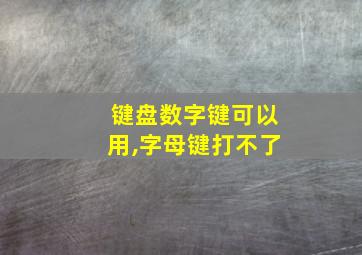 键盘数字键可以用,字母键打不了