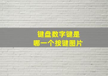 键盘数字键是哪一个按键图片