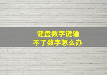 键盘数字键输不了数字怎么办