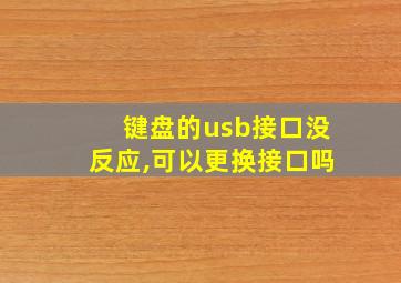 键盘的usb接口没反应,可以更换接口吗