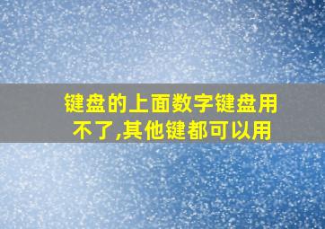 键盘的上面数字键盘用不了,其他键都可以用