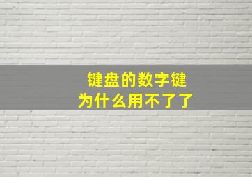 键盘的数字键为什么用不了了