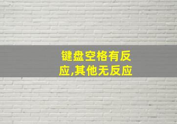 键盘空格有反应,其他无反应