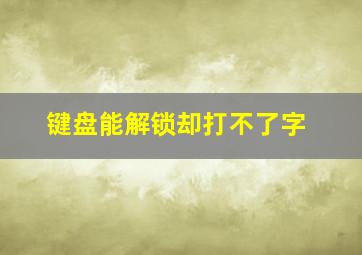 键盘能解锁却打不了字