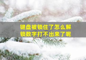 键盘被锁住了怎么解锁数字打不出来了呢