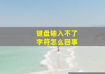 键盘输入不了字符怎么回事