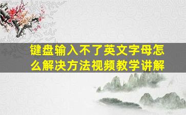 键盘输入不了英文字母怎么解决方法视频教学讲解