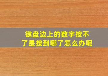 键盘边上的数字按不了是按到哪了怎么办呢