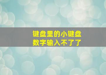 键盘里的小键盘数字输入不了了