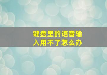 键盘里的语音输入用不了怎么办